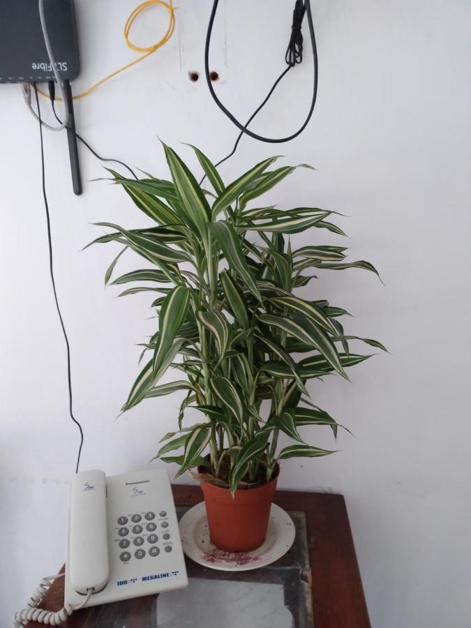 Holly House Homestay เอลลา ภายนอก รูปภาพ