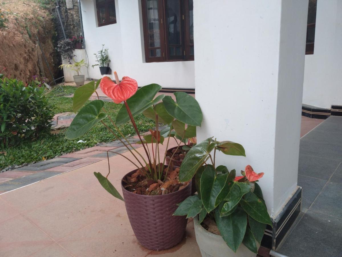 Holly House Homestay เอลลา ภายนอก รูปภาพ