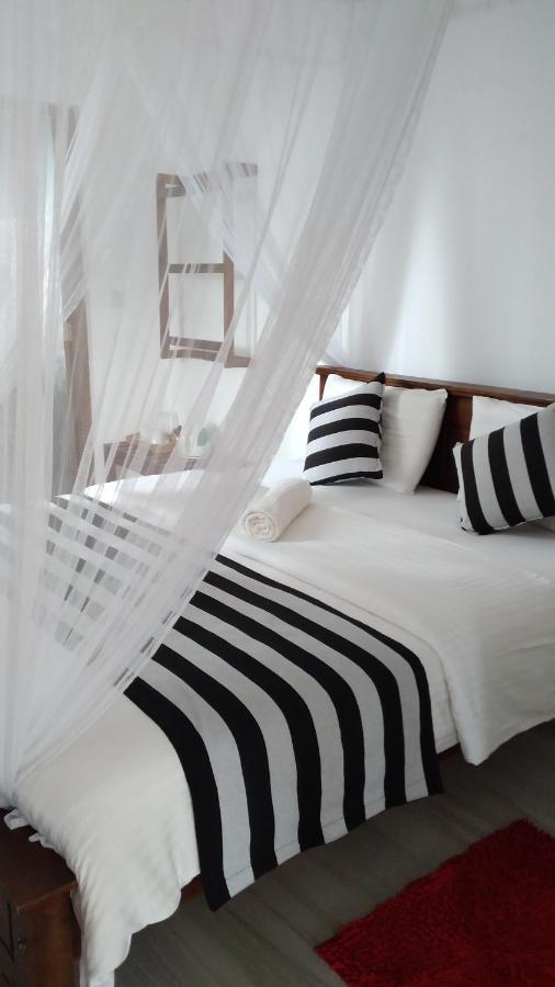 Holly House Homestay เอลลา ภายนอก รูปภาพ